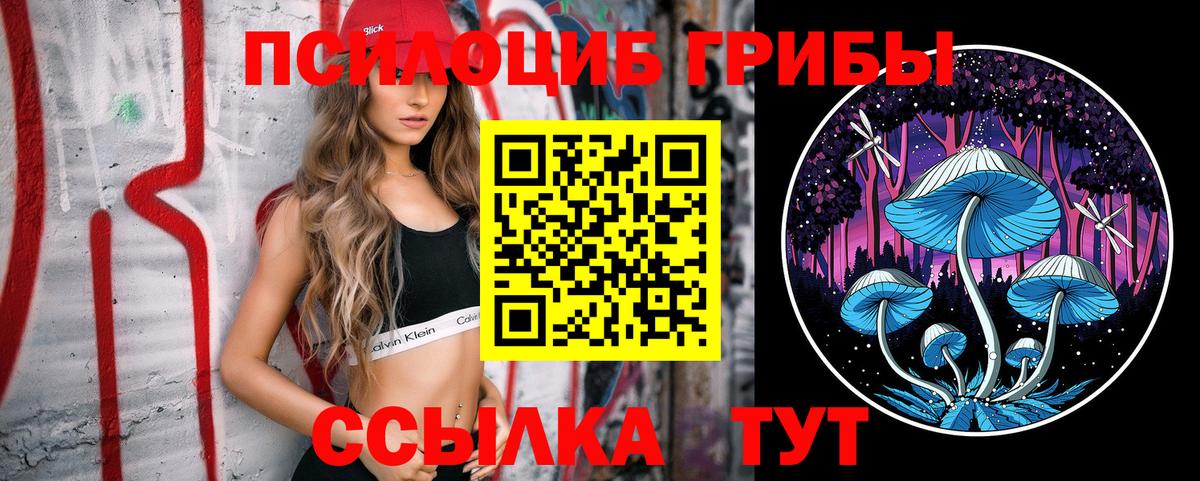 где купить наркоту  Галлюциногенные грибы ЛСД  Вход с VPN  Холмск  Псилоцибиновые грибы мухоморы 
